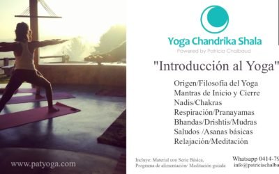 Taller Introducción al yoga