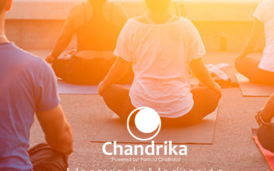 PROGRAMA DE FORMACIÓN MEDITACIÓN On line.