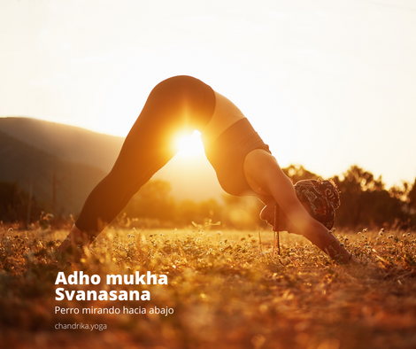 Adho Mukha Svanasana