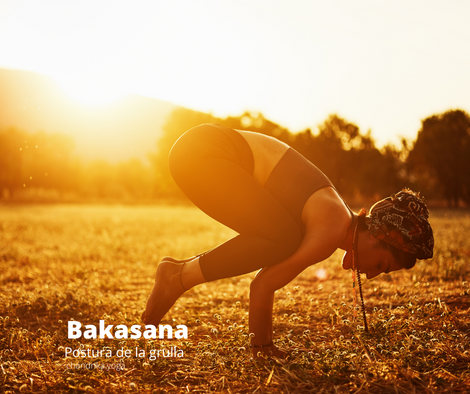 Bakasana