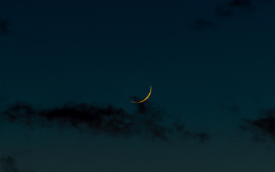 Luna Nueva en Virgo