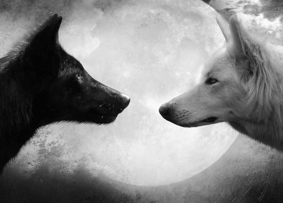 Luna Llena en Cáncer