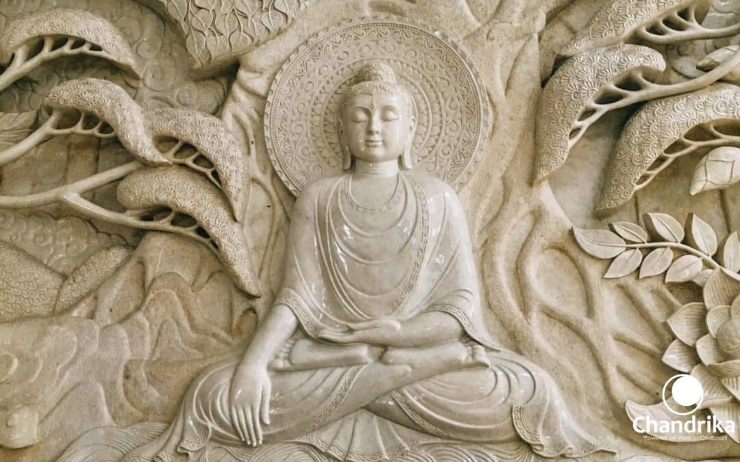 Palabras del Buda: ¡No me creas nada!