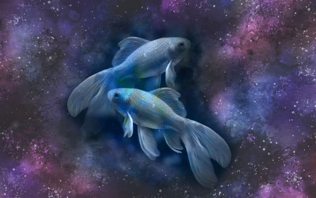 Sol en Piscis 2024