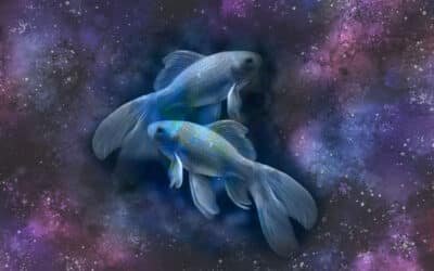 Sol en Piscis 2024