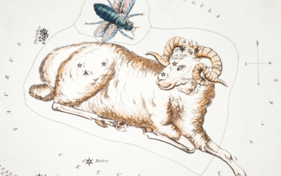 Explorando la energía del sol en Aries a través de Astroyoga y meditación