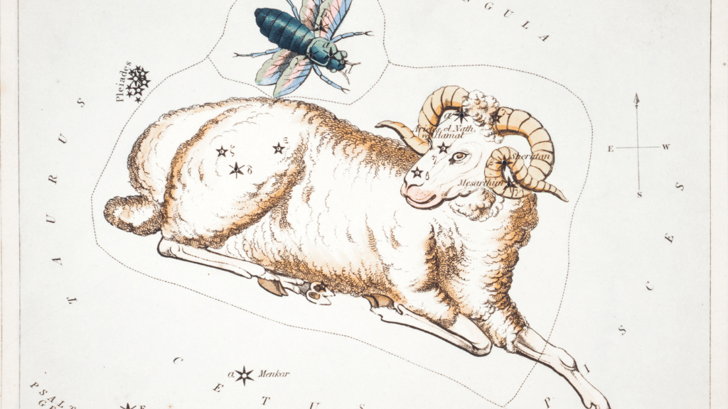 Explorando la energía del sol en Aries a través de Astroyoga y meditación